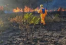 Brasil em Chamas: Seca Histórica Aumenta Incêndios e Ameaça a Saúde da População