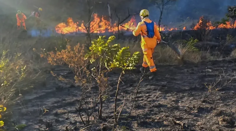 Brasil em Chamas: Seca Histórica Aumenta Incêndios e Ameaça a Saúde da População