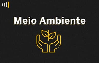 Banco da Amazônia apresenta agenda estratégica e protagonismo da região na COP30 em Belém