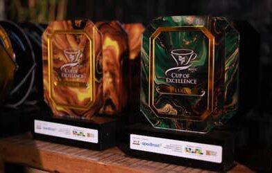 COP30: ações promovidas pela ApexBrasil dão visibilidade global a produtos compatíveis com a floresta