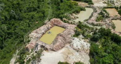 Facções criminosas avançam na Amazônia Legal