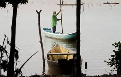 Oceana lança guia na COP30 para fortalecer a pesca diante das mudanças climáticas