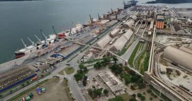 Portos do Sul registram alta de 14% e lideram retomada logística em 2025