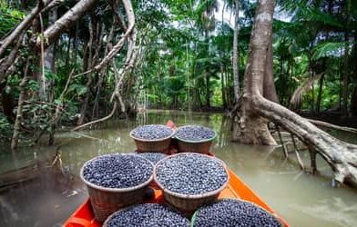 Amazônia: municípios têm R$ 131,9 milhões para regularização fundiária e assistência técnica