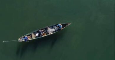 Mais de 76 mil pescadores tiveram licenças canceladas após decisão do MPA