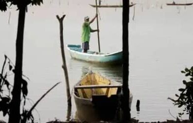 Maranhão e Pará lideram número de licenças de pescadores canceladas pelo MPA