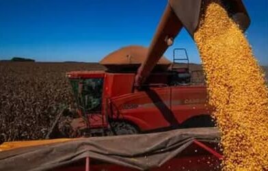 PIB da agropecuária avança 11,7% e contribui para fortalecimento da economia em 2025