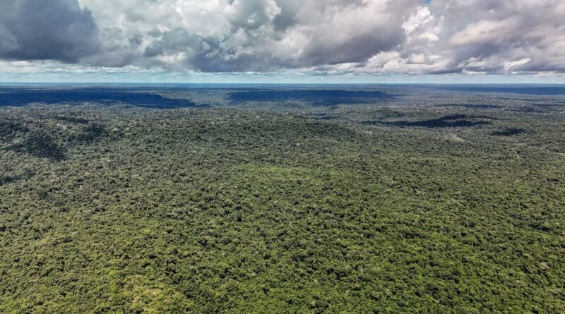 14/05/2026 - Belterra - Floresta Nacional do Tapajós - Pará - Na comunidade de Piquiatuba, dentro da Floresta Nacional do Tapajós, Elton Vasconcelos criou um negócio que une culinária regional, turismo de experiência e desenvolvimento comunitário. A Casa do Eltom virou referência para visitantes que buscam viver a Amazônia real: sabores locais, trilhas, hospitalidade e conexão com a floresta. E é exemplo vivo do turismo de base comunitária. O empreendimento agora amplia sua atuação com passeios turísticos e hospedagem, incluindo a implantação de chalés após conseguir aporte de R$ 200 mil de investidores e alta demanda já na fase inicial. Foto: Rafa Neddermeyer/Agência Brasil