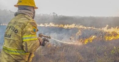 Agente do Ibama faz trabalha de contenção de queimadas e incêndio no Amazonas. Foto: Ibama/Divulgação