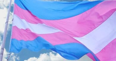 São Paulo (SP), 16/04/2025 - Bandeira da Associação Nacional de Travestis e Transexuais. Foto: Antra/Divulgação