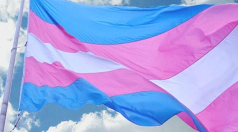 São Paulo (SP), 16/04/2025 - Bandeira da Associação Nacional de Travestis e Transexuais. Foto: Antra/Divulgação