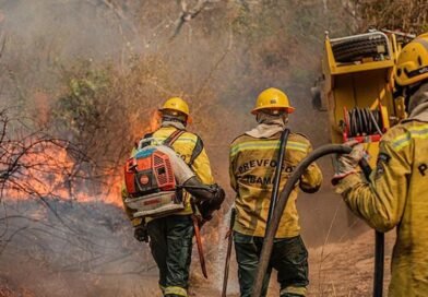 Agente do Ibama faz trabalha de contenção de queimadas e incêndio no Amazonas. Foto: Vinícius Mendonça/Ibama