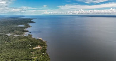 14/05/2026 - Belterra - Floresta Nacional do Tapajós - Pará - Na comunidade de Piquiatuba, dentro da Floresta Nacional do Tapajós, Elton Vasconcelos criou um negócio que une culinária regional, turismo de experiência e desenvolvimento comunitário. A Casa do Eltom virou referência para visitantes que buscam viver a Amazônia real: sabores locais, trilhas, hospitalidade e conexão com a floresta. E é exemplo vivo do turismo de base comunitária. O empreendimento agora amplia sua atuação com passeios turísticos e hospedagem, incluindo a implantação de chalés após conseguir aporte de R$ 200 mil de investidores e alta demanda já na fase inicial. Foto: Rafa Neddermeyer/Agência Brasil