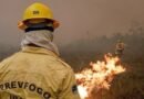 Agente do Ibama faz trabalha de contenção de queimadas e incêndio no Amazonas. Foto: Ibama/Divulgação