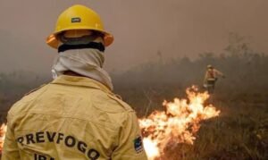 Agente do Ibama faz trabalha de contenção de queimadas e incêndio no Amazonas. Foto: Ibama/Divulgação