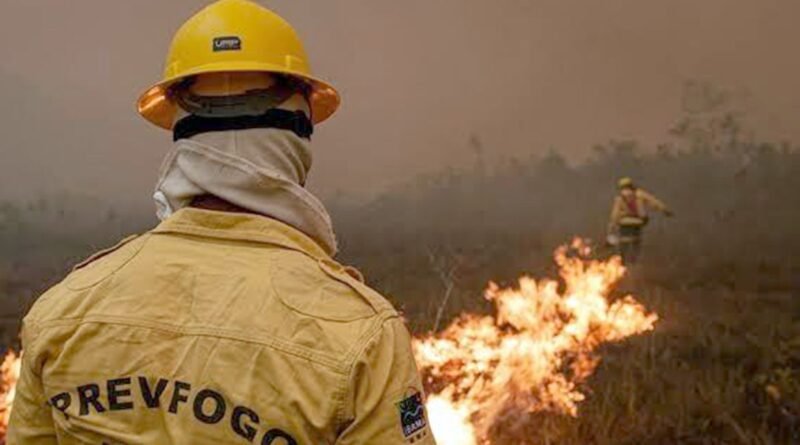 Agente do Ibama faz trabalha de contenção de queimadas e incêndio no Amazonas. Foto: Ibama/Divulgação