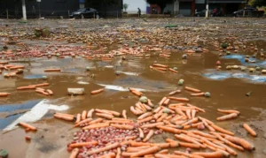 Chuvas em São Paulo