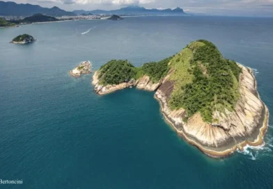 Reserva marinha alia proteção ambiental com atividades econômicas. Divulgação do governo do estado do Rio