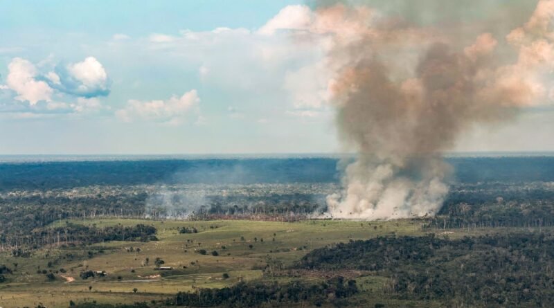 13/10/2026 - Acre - Fogo, queimadas, incêndios florestais e fumaça ameaçam a floresta amazônica no Acre. Entre Cruzeiro do Sul e Marechal Thaumaturgo, a paisagem revela a pressão sobre a vegetação nativa e a biodiversidade. Foto: Rafa Neddermeyer/Agência Brasil