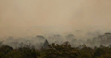 Brasília (DF), 16/09/2024 - Grandes focos de incêndio atingem áreas do Parque Nacional de Brasília. Foto: Marcelo Camargo/Agência Brasil