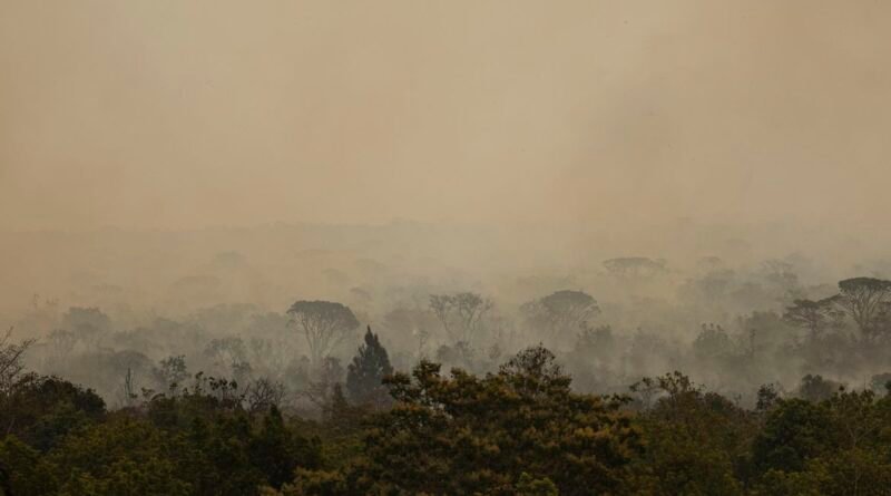 Brasília (DF), 16/09/2024 - Grandes focos de incêndio atingem áreas do Parque Nacional de Brasília. Foto: Marcelo Camargo/Agência Brasil