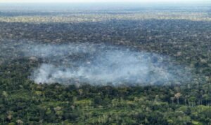 13/10/2026 - Acre - Fogo, queimadas, incêndios florestais e fumaça ameaçam a floresta amazônica no Acre. Entre Cruzeiro do Sul e Marechal Thaumaturgo, a paisagem revela a pressão sobre a vegetação nativa e a biodiversidade. Foto: Rafa Neddermeyer/Agência Brasil