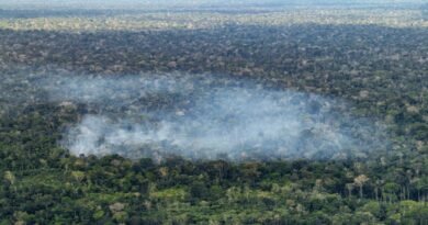 13/10/2026 - Acre - Fogo, queimadas, incêndios florestais e fumaça ameaçam a floresta amazônica no Acre. Entre Cruzeiro do Sul e Marechal Thaumaturgo, a paisagem revela a pressão sobre a vegetação nativa e a biodiversidade. Foto: Rafa Neddermeyer/Agência Brasil