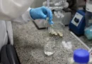 Brasília (DF), 26/05/2026 - O laboratório de nanotecnologia da Embrapa produz em caráter experimental substitutos veganos de carne vermelha, salmão e lula por meio de uma impressora carregada de massa feita do extrato de sementes. Foto: Valter Campanato/Agência Brasil