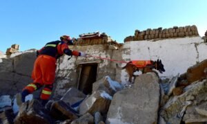 Bombeiro realiza operação de busca e resgate com cão farejador após terremoto no Tibete 08/01/2025 cnsphoto via REUTERS