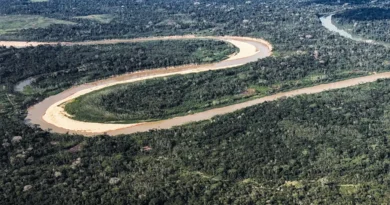 13/10/2026 - Acre - O rio Tejo corta a floresta amazônica no Acre, entre Cruzeiro do Sul e Marechal Thaumaturgo. Rios, mata nativa, biodiversidade e comunidades ribeirinhas compõem a paisagem natural de uma das regiões mais remotas da Amazônia brasileira. Foto: Rafa Neddermeyer/Agência Brasil