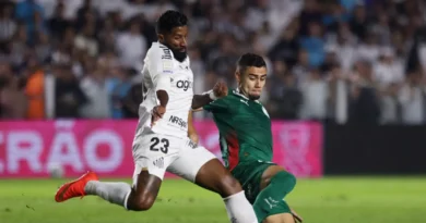 Soccer Football - Brasileiro Championship - Santos v Palmeiras - Estadio Urbano Caldeira, Santos, Brazil - October 28, 2026 Palmeiras' Andreas Pereira in action with Santos' Rodinei REUTERS/Thiago Bernardes