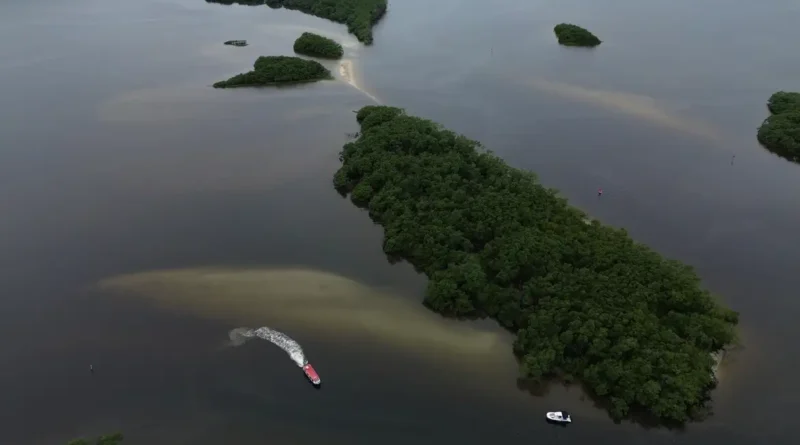 Paranaguá (PR), 18/05/2026 – Manguezal na Baía de Paranaguá, área da Grande Reserva da Mata Atlêntica, onde ocorre monitoramento por pesquisadores do Programa de Recuperação da Biodiversidade Marinha (Rebimar). Foto: Fernando Frazão/Agência Brasil
